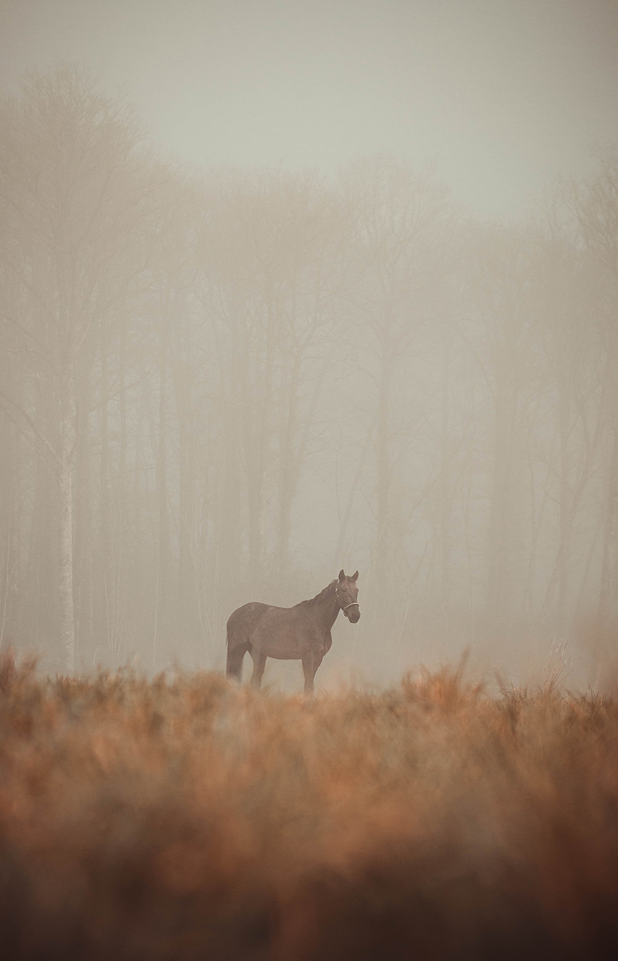 Manon Knasko Photographies
